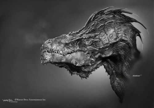 the-hobbit_the-desolation-of-smaug_concept-art-by-andrew-baker (1)